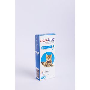 Antiparasitario Bravecto Gatos