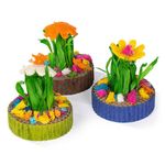 JARDIN-MINI-SUCULENTAS--3-UN-