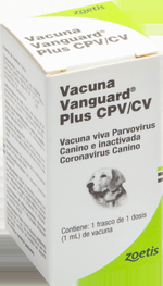 VANGUARD-PLUS-CPV-CV---1-DS