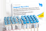 VANGUARD-PLUS-5-CV-L---25-DS