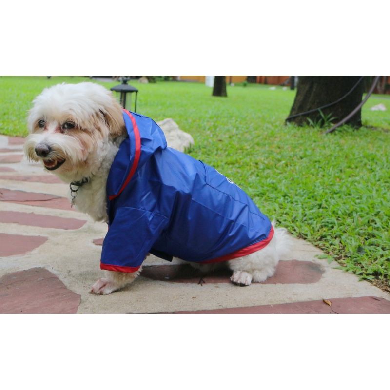 CORTAVIENTO-IMPERMEABLE-AZUL-CON-GORRO--S