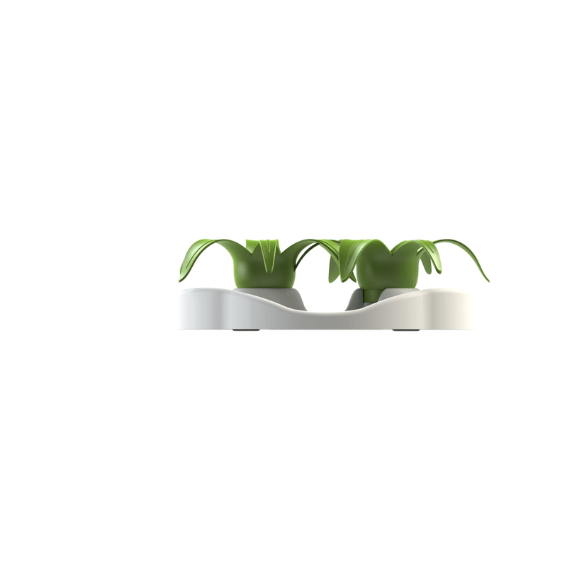 COMEDERO-INTERACTIVO-PLANTA-BLANCO-VERDE-GATOS