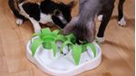 COMEDERO-INTERACTIVO-PLANTA-BLANCO-VERDE-GATOS