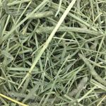 HENO-WESTERN-TIMOTHY--4--KG-