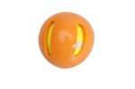 JUGUETE-PERRO-PELOTA-TENIS-CUBIERTA-GOMA--75-CM-