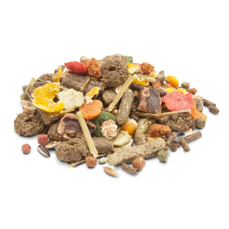 461697-food