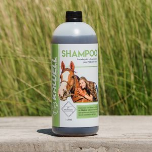 Shampoo Matico 1 LT