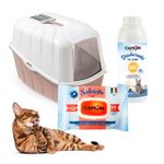 Pack_Dcto_Gato_1_06-25