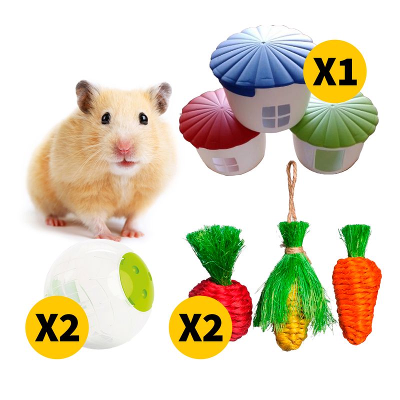 Pack_3_Exotico_05-25